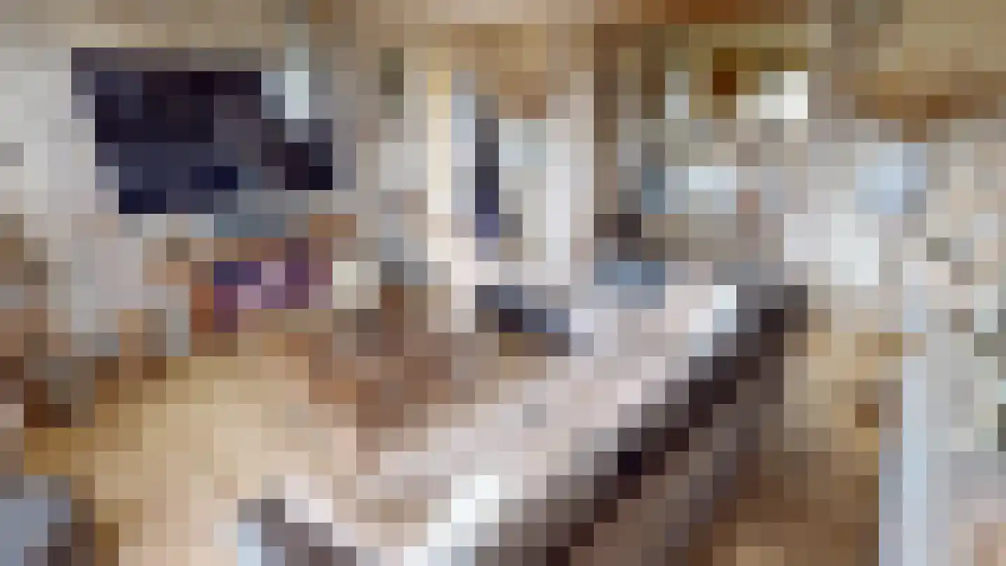 Peperstraat 33 Bovenkarspel thumbnail 64