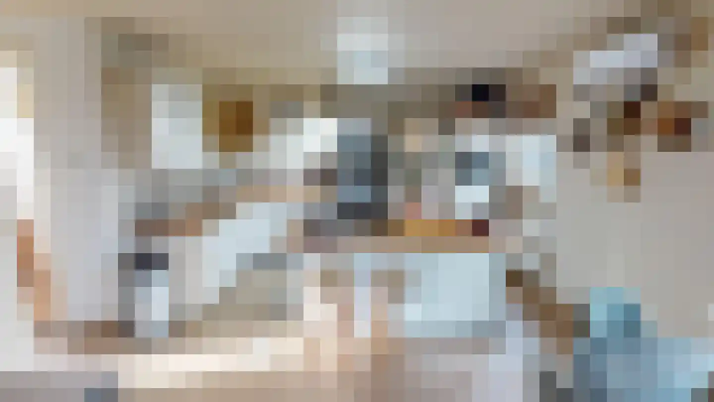 Peperstraat 33 Bovenkarspel thumbnail 65