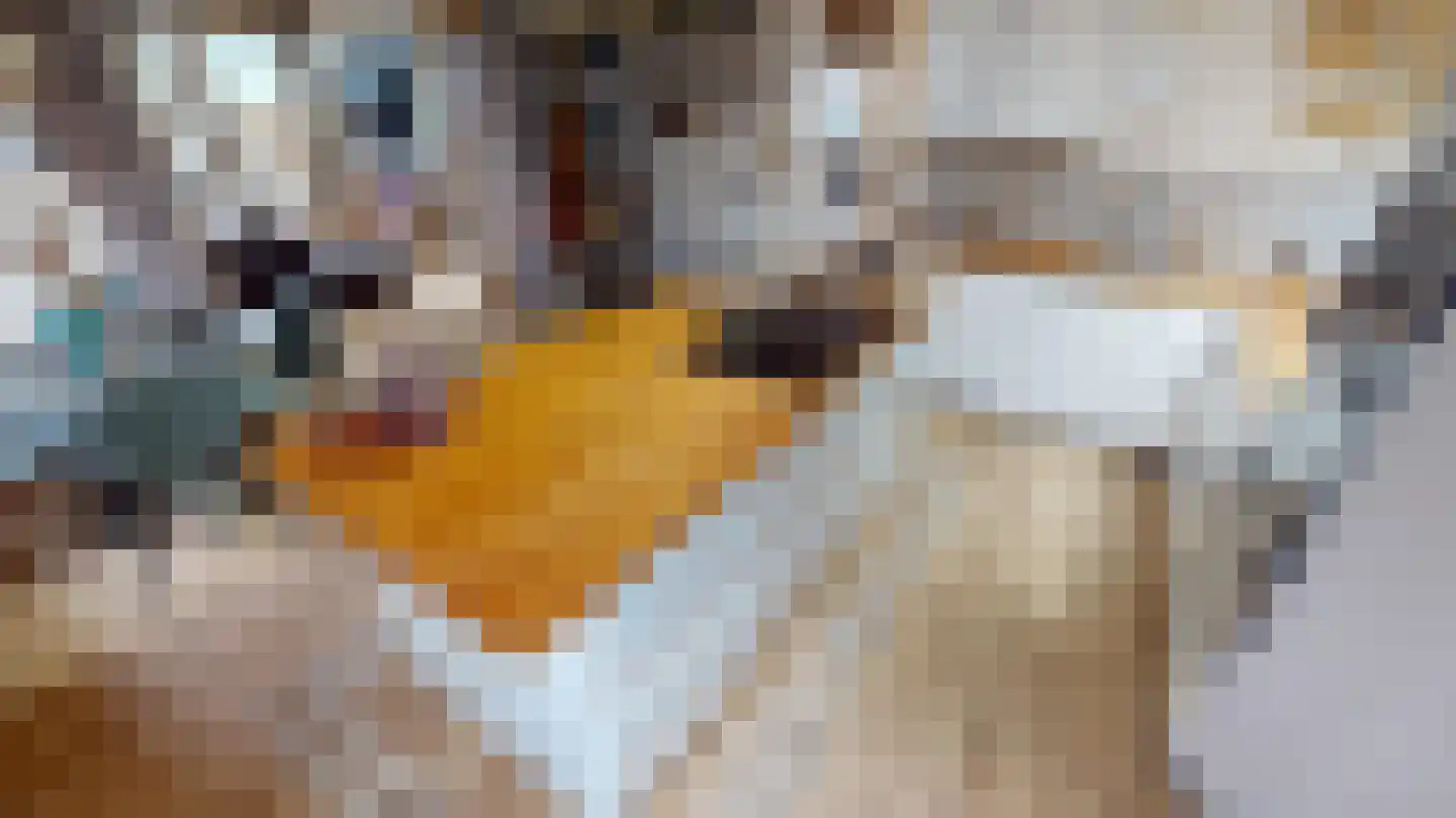 Peperstraat 33 Bovenkarspel thumbnail 69