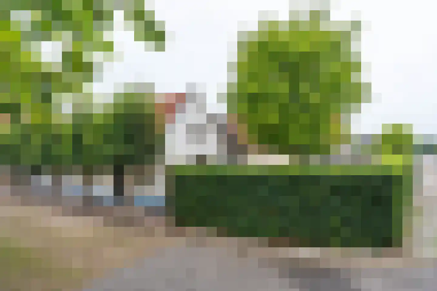Peperstraat 39 Hedel thumbnail 14