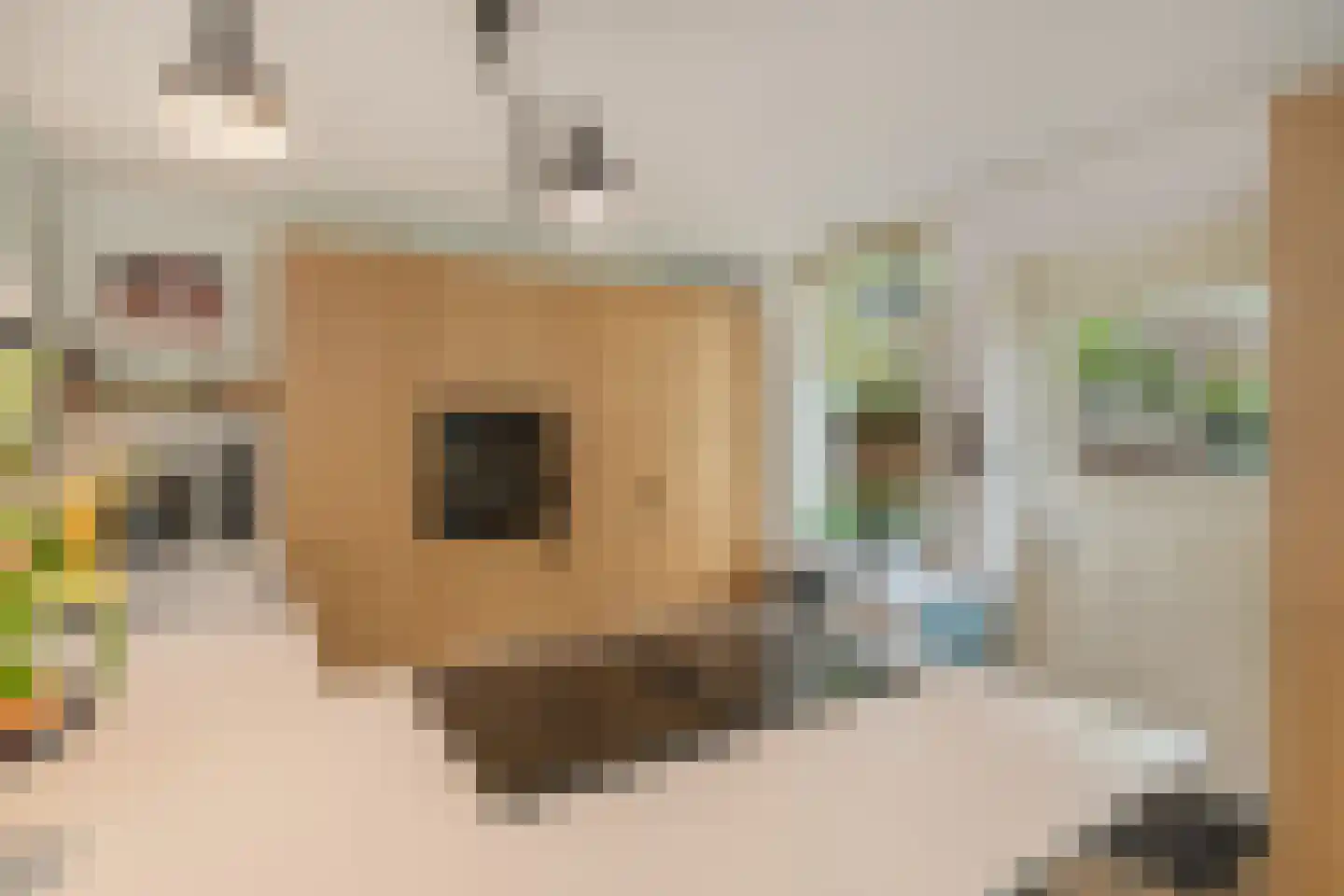 Peperstraat 39 Hedel thumbnail 15
