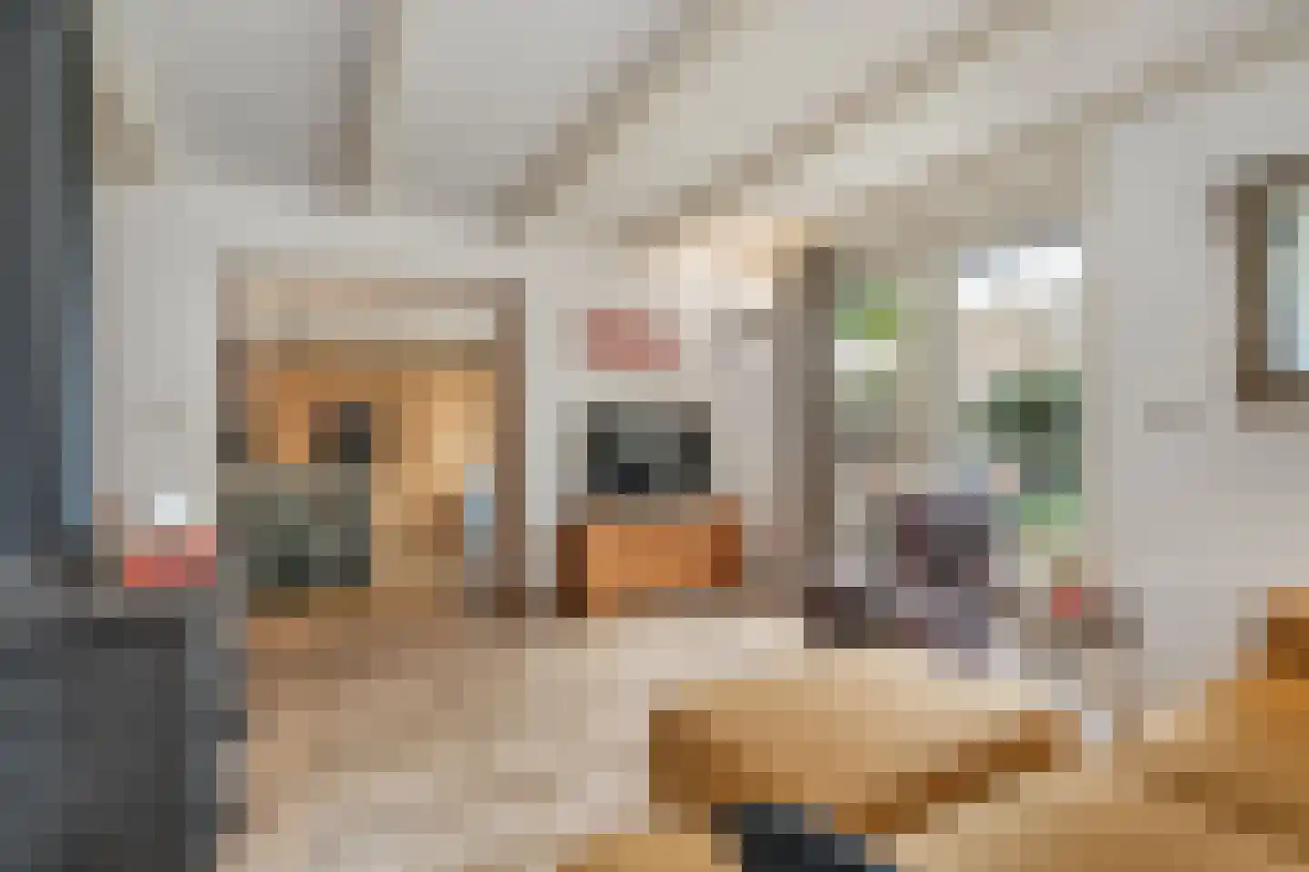 Peperstraat 39 Hedel thumbnail 24