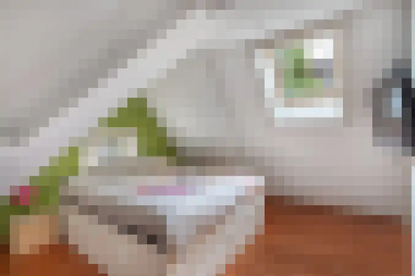 Peperstraat 39 Hedel thumbnail 29