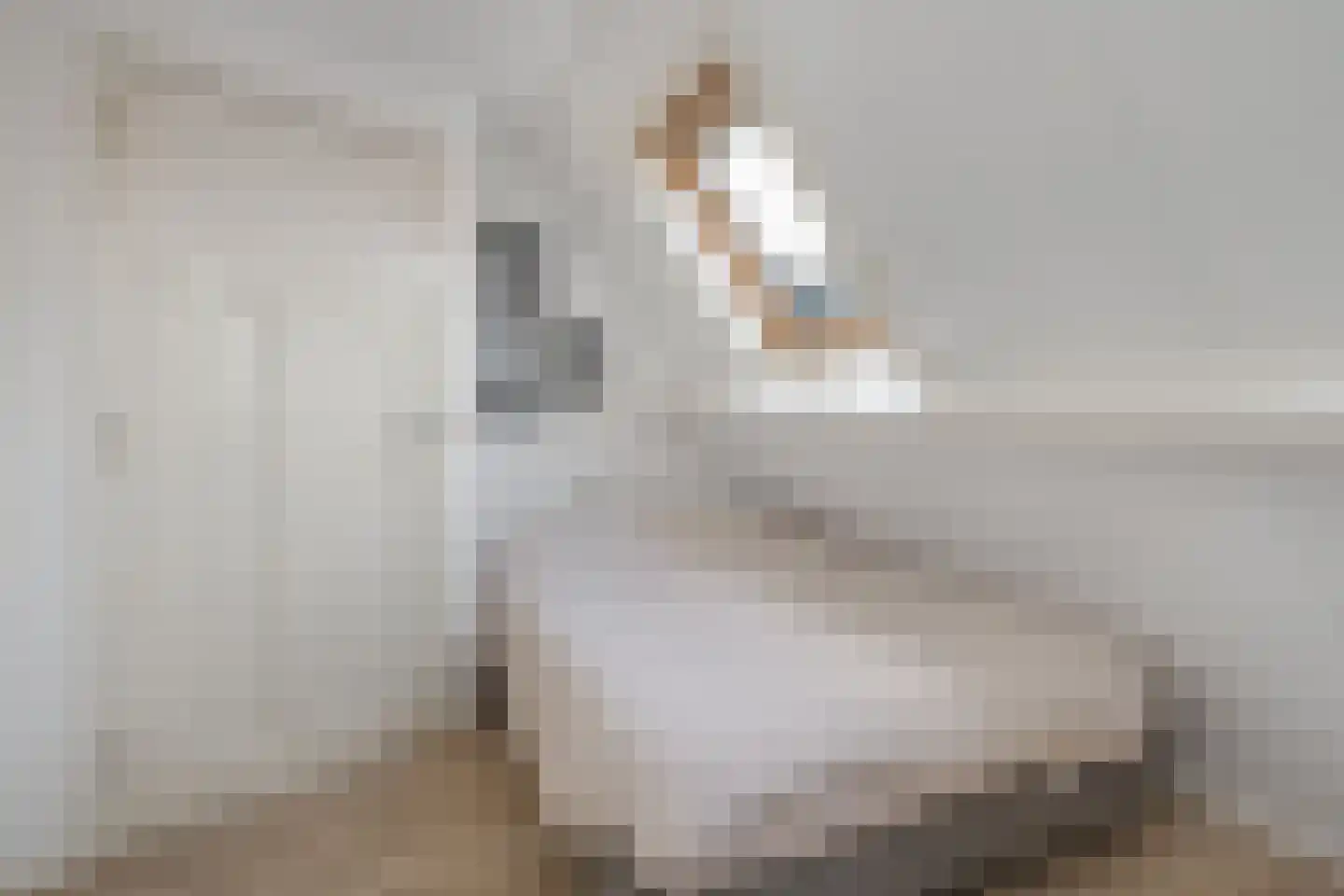 Peperstraat 39 Hedel thumbnail 32