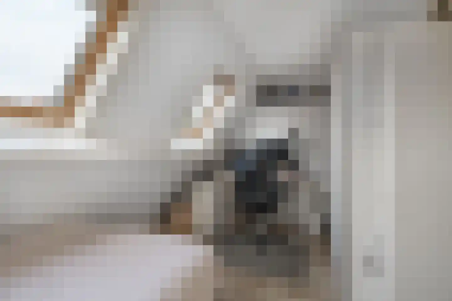 Peperstraat 39 Hedel thumbnail 33