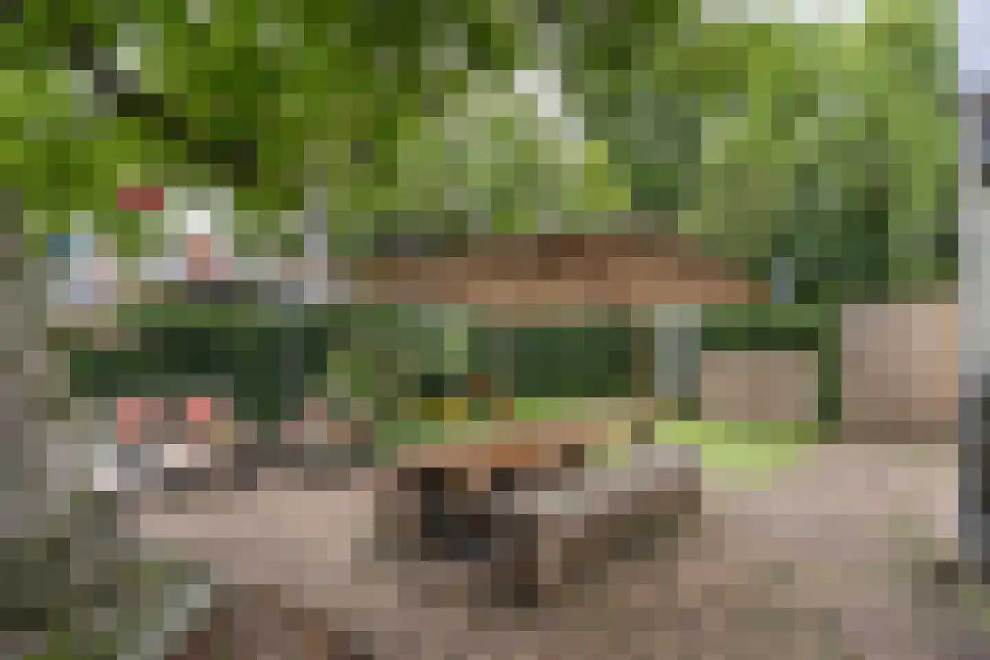 Peperstraat 39 Hedel thumbnail 36