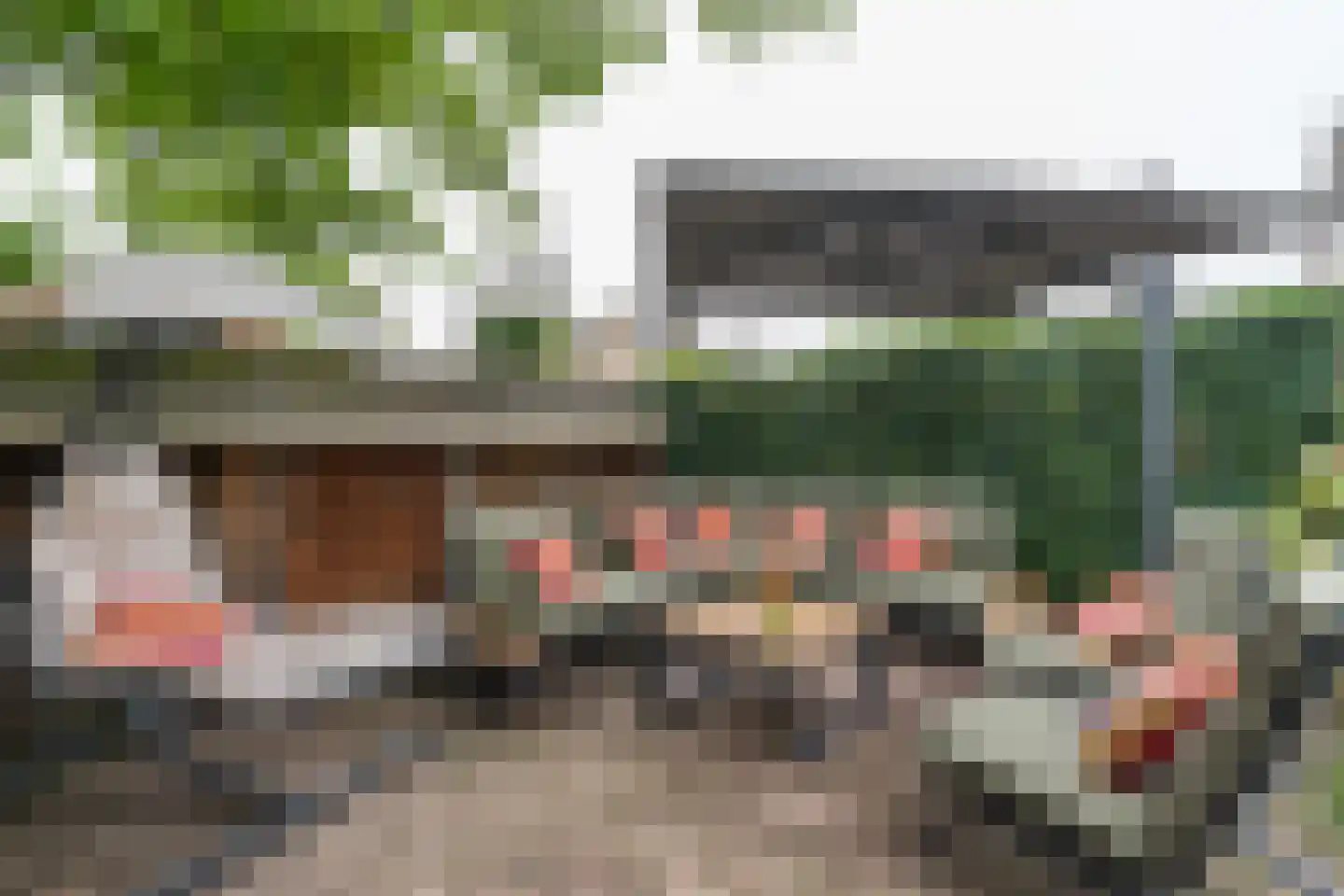 Peperstraat 39 Hedel thumbnail 41