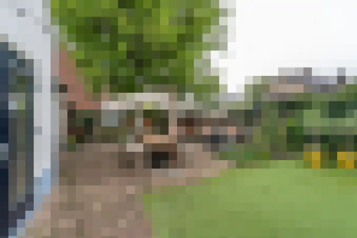 Peperstraat 39 Hedel thumbnail 5