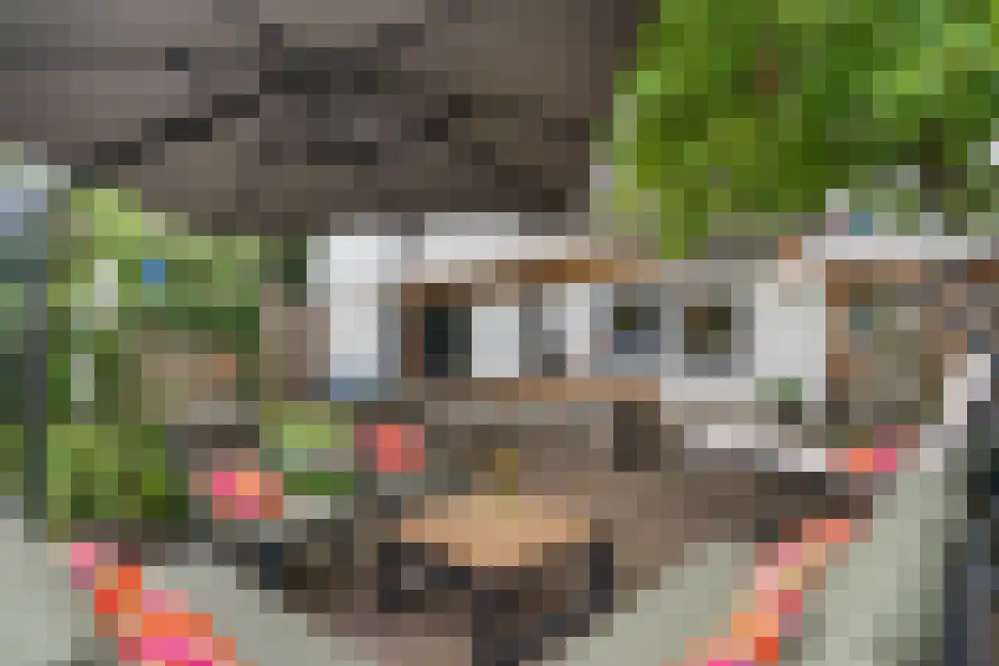 Peperstraat 39 Hedel thumbnail 6