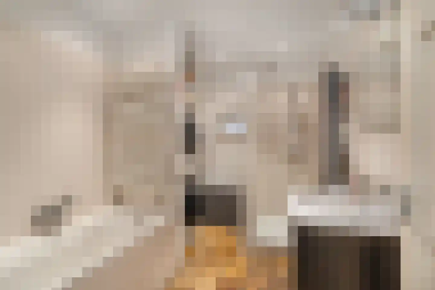 Peperstraat 39 Hedel thumbnail 9