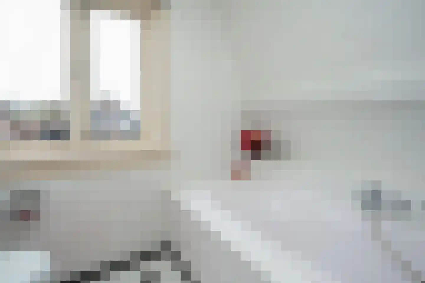 Peperstraat 39 Oosterhout thumbnail 33