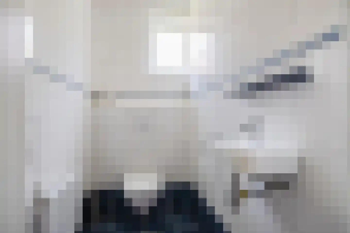 Peperstraat 4 Godlinze thumbnail 18