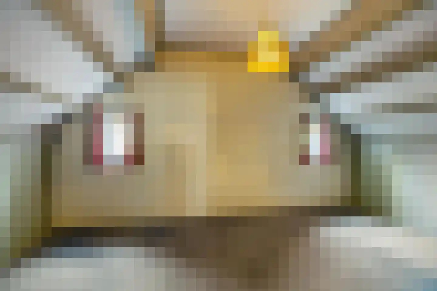 Peperstraat 4 Godlinze thumbnail 25