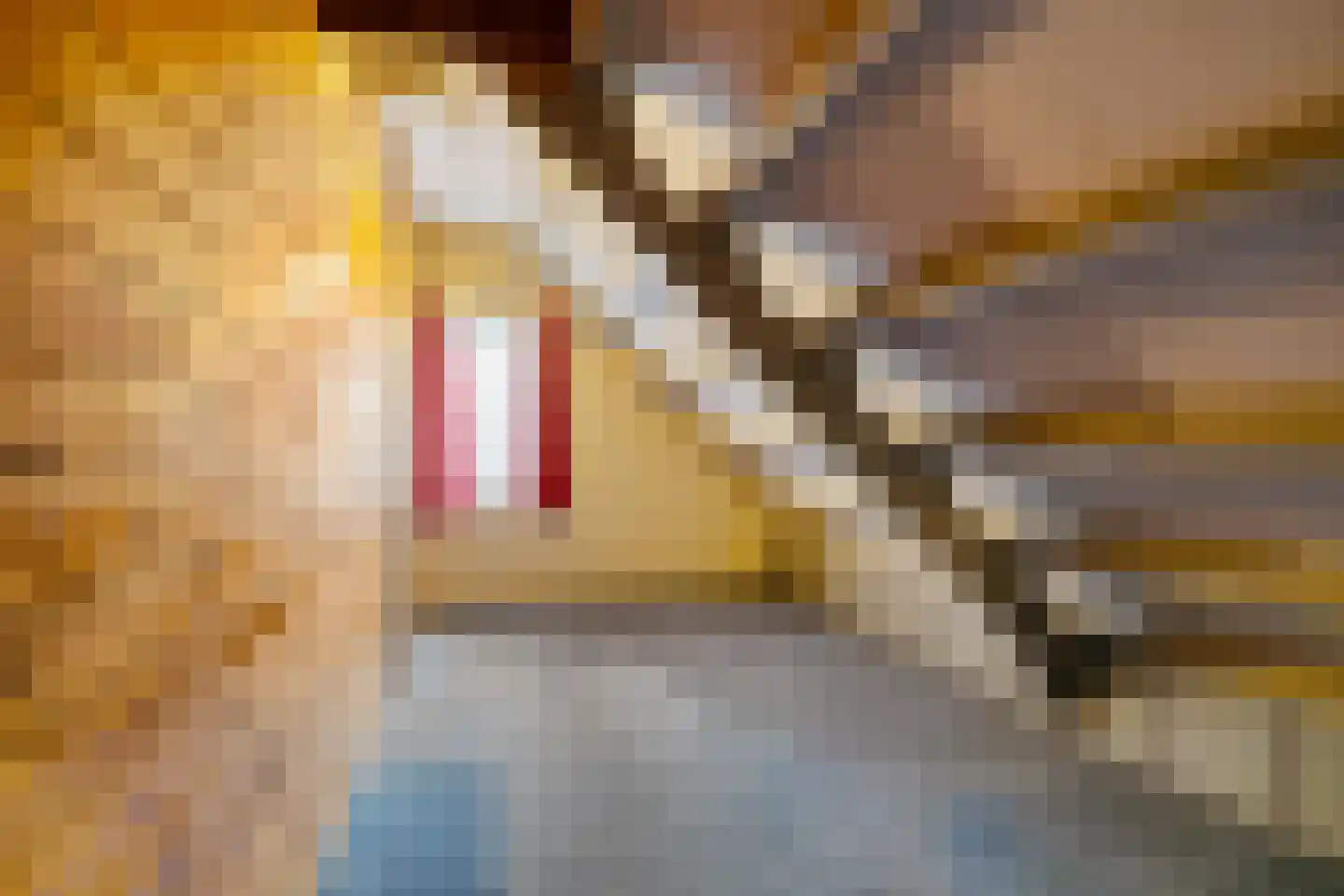 Peperstraat 4 Godlinze thumbnail 29