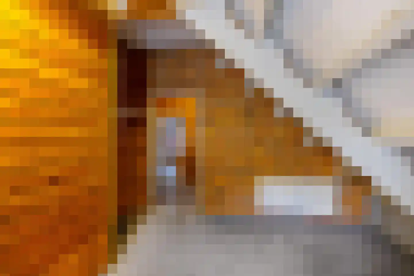 Peperstraat 4 Godlinze thumbnail 33