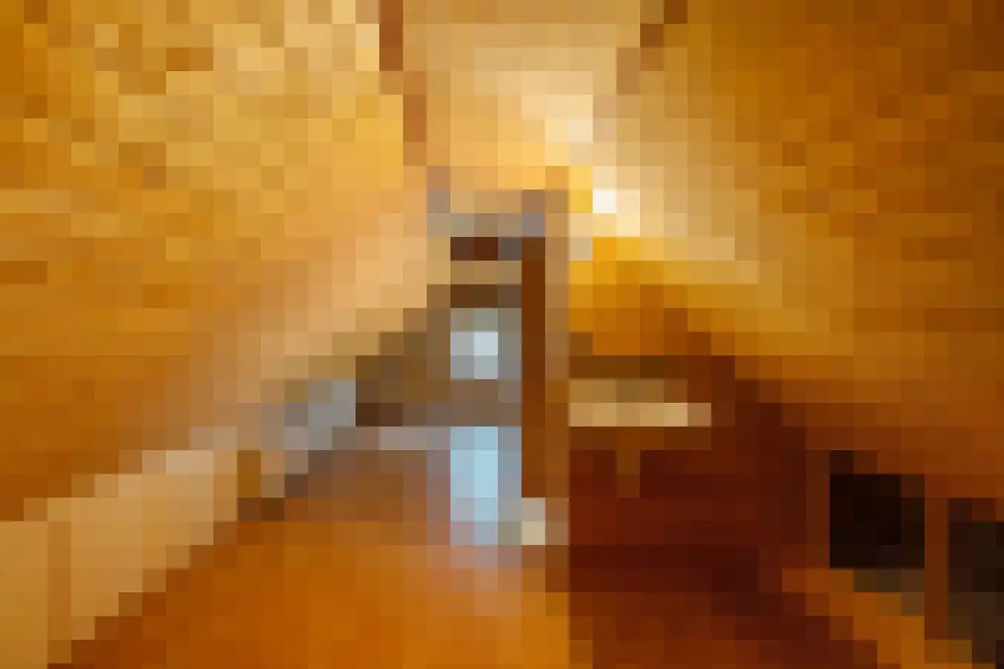 Peperstraat 4 Godlinze thumbnail 34
