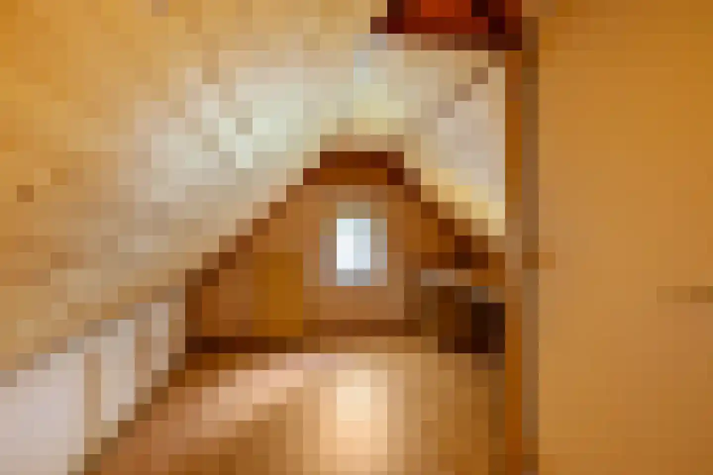 Peperstraat 4 Godlinze thumbnail 35