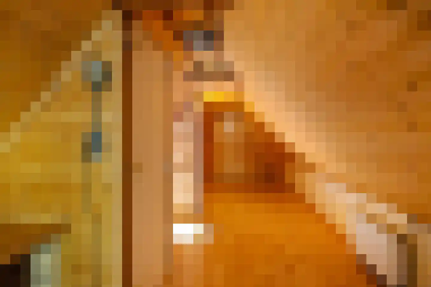 Peperstraat 4 Godlinze thumbnail 36