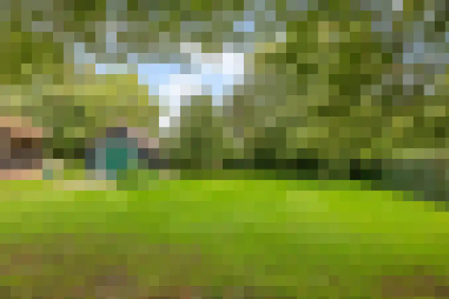 Peperstraat 4 Godlinze thumbnail 42