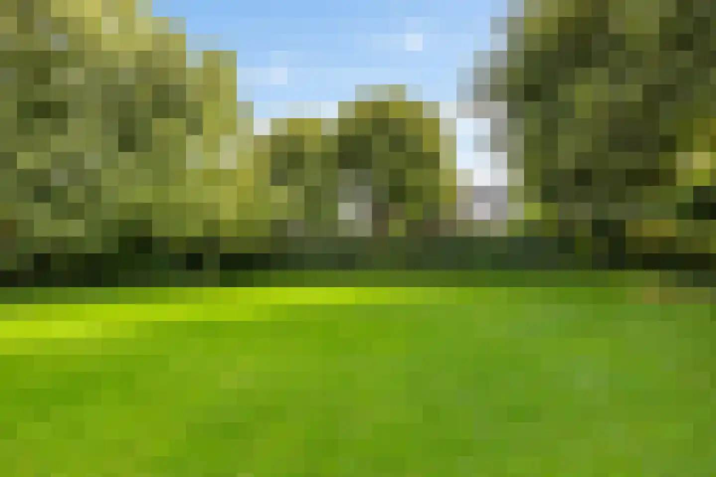 Peperstraat 4 Godlinze thumbnail 43