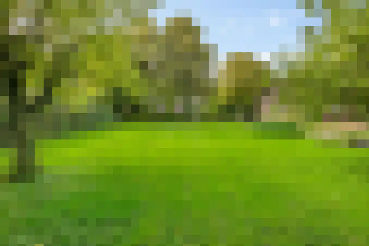 Peperstraat 4 Godlinze thumbnail 44