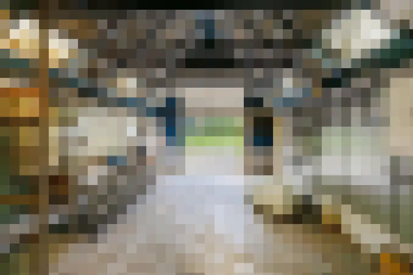 Peperstraat 4 Godlinze thumbnail 48