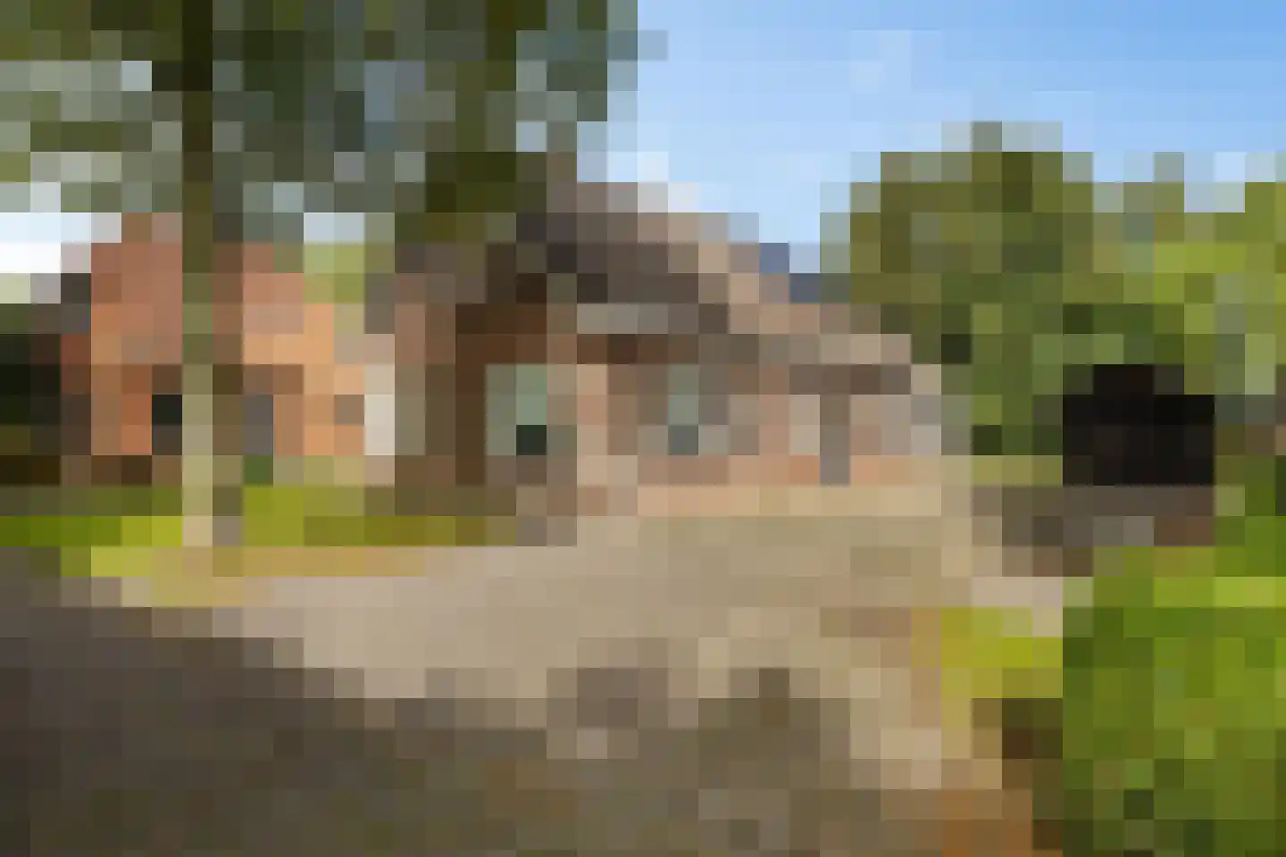 Peperstraat 4 Godlinze thumbnail 5