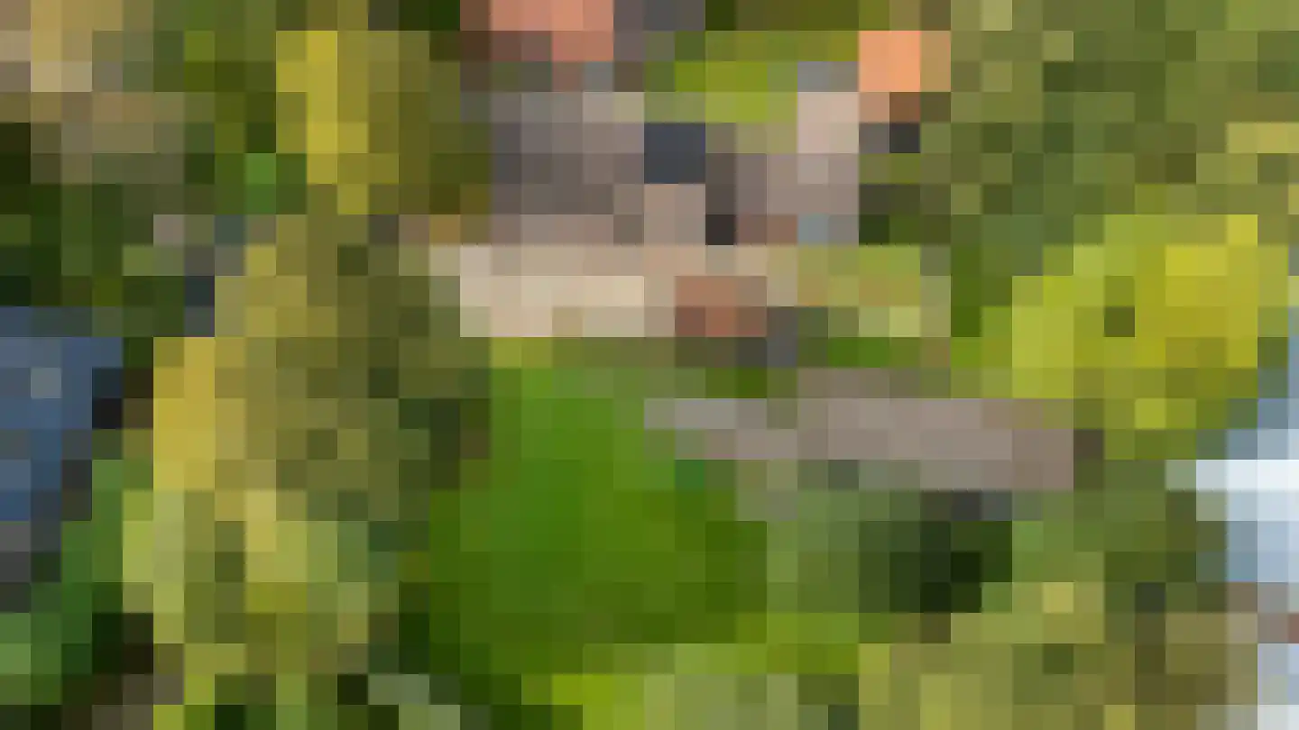 Peperstraat 4 Godlinze thumbnail 53