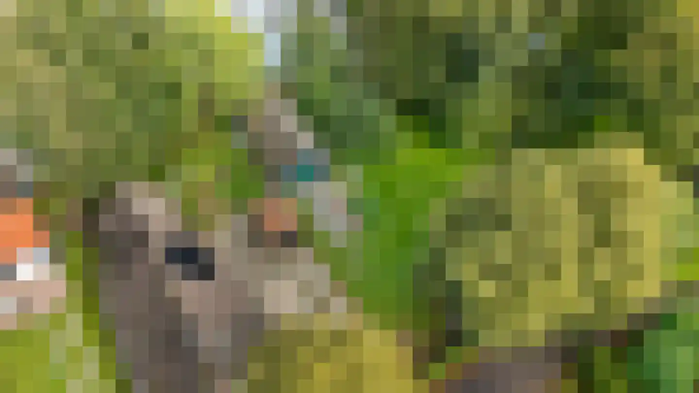 Peperstraat 4 Godlinze thumbnail 54