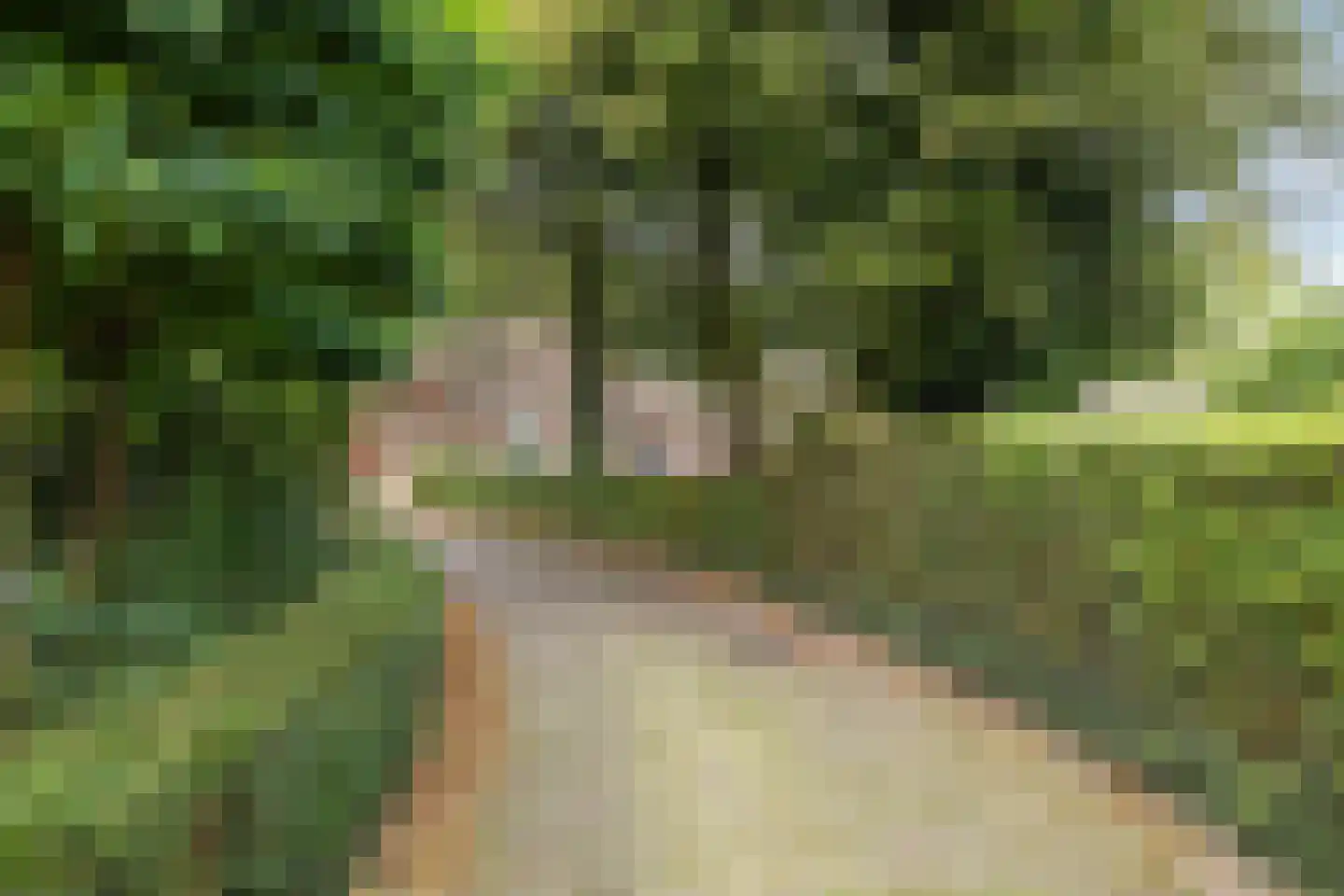 Peperstraat 4 Godlinze thumbnail 55
