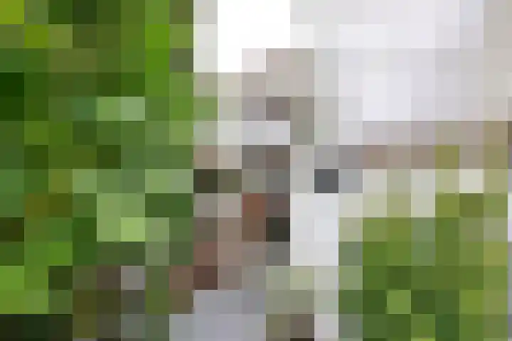 Peperstraat 4 Naarden thumbnail 12