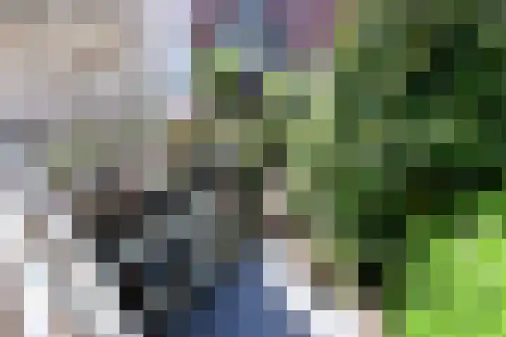 Peperstraat 4 Naarden thumbnail 16