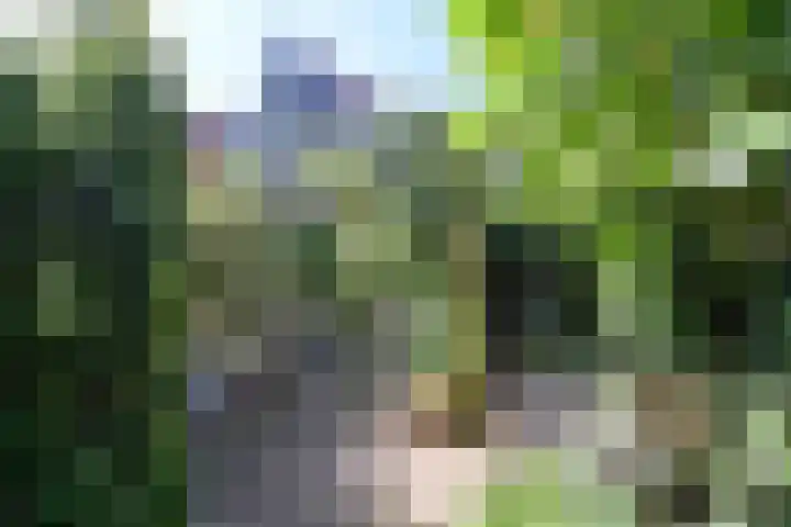 Peperstraat 4 Naarden thumbnail 18