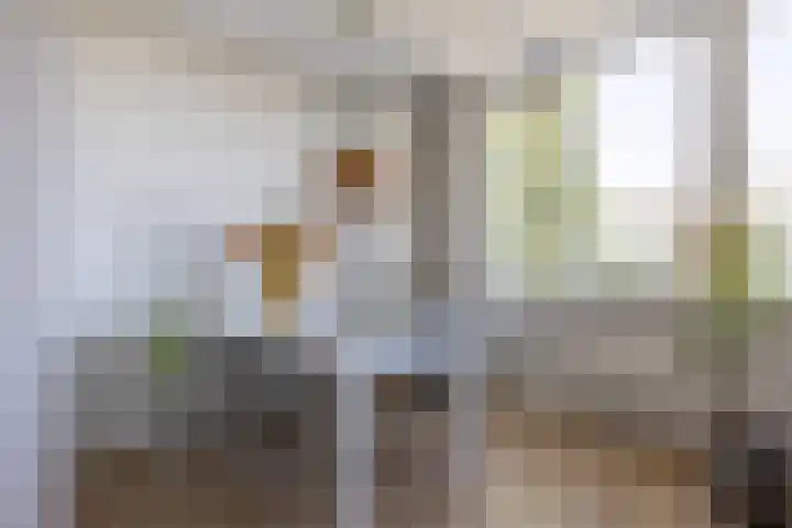 Peperstraat 46 Beverwijk thumbnail 8