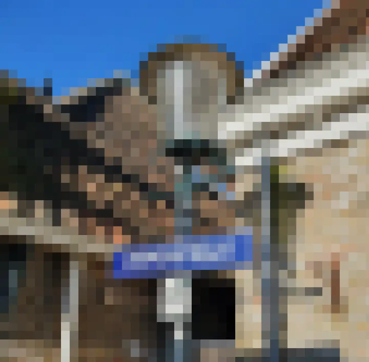 Peperstraat 5 A Oosterend thumbnail 27