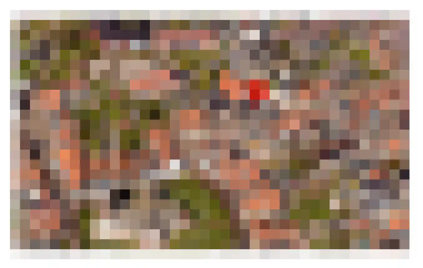 Peperstraat 5 A Oosterend thumbnail 28