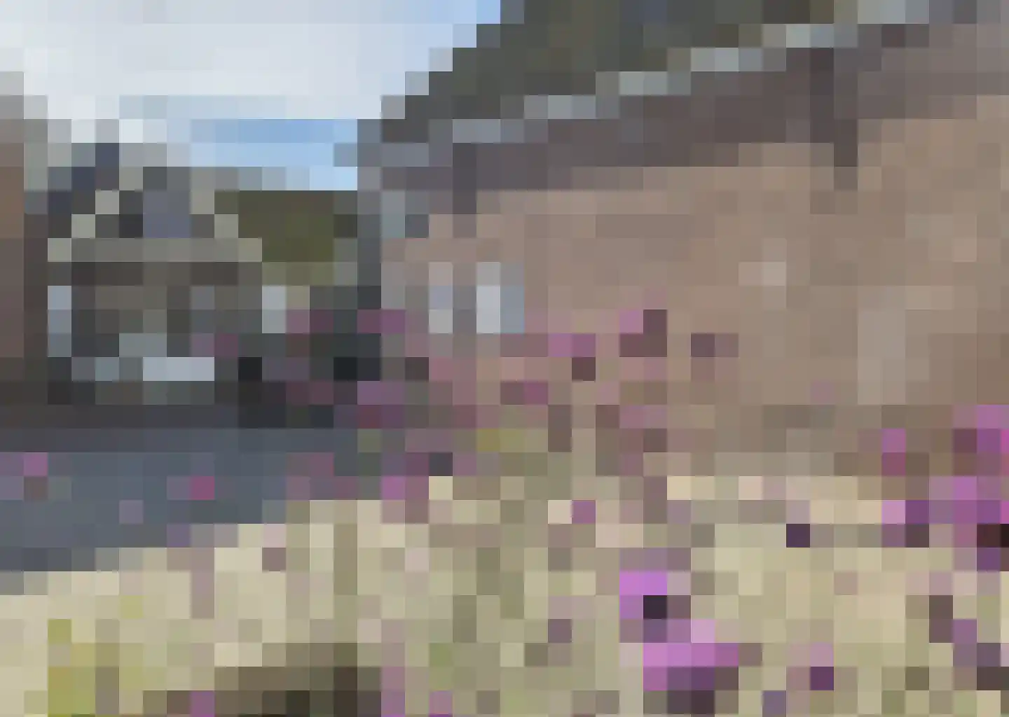 Peperstraat 5 B Oosterend thumbnail 15