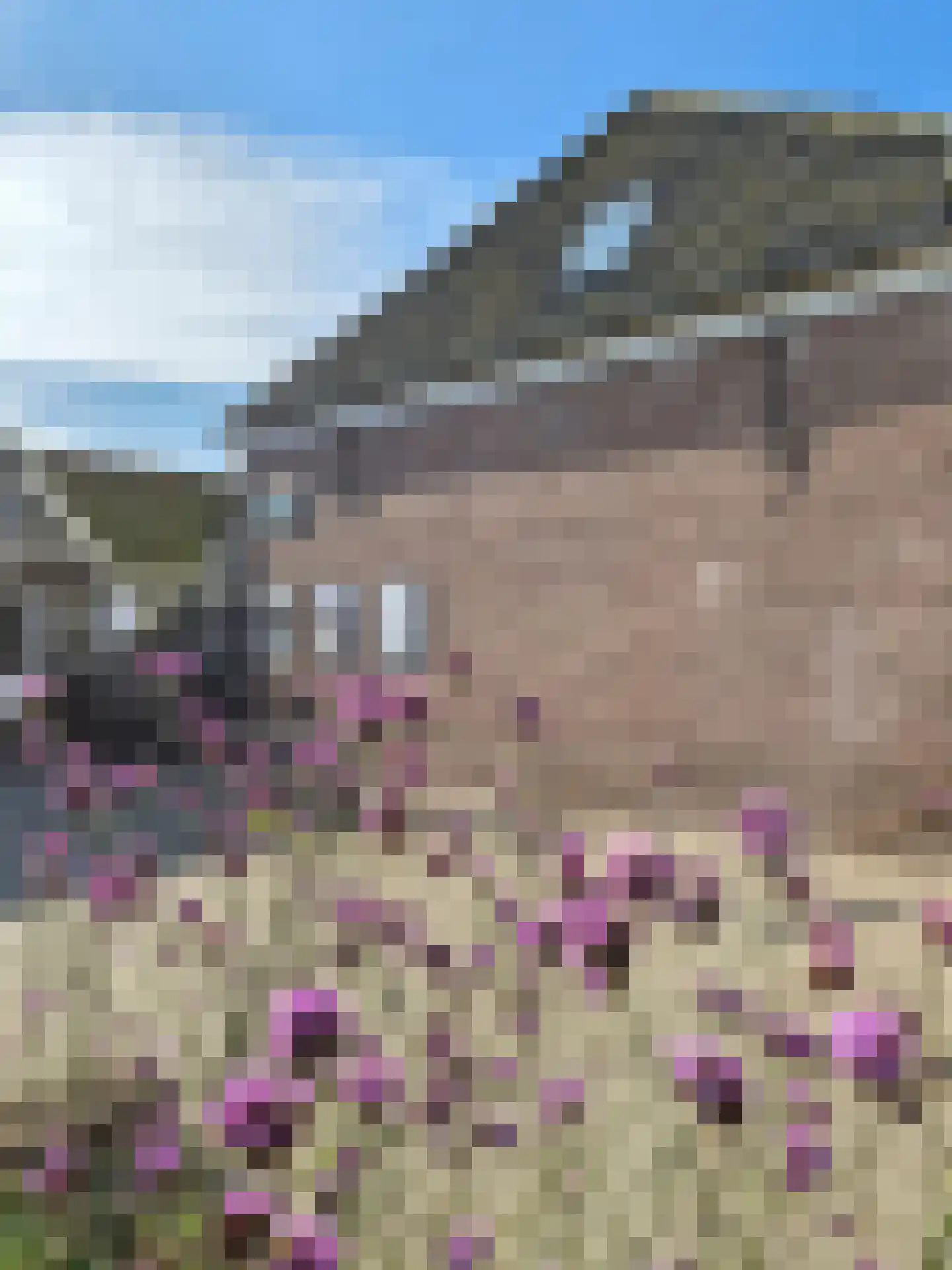 Peperstraat 5 B Oosterend foto 2