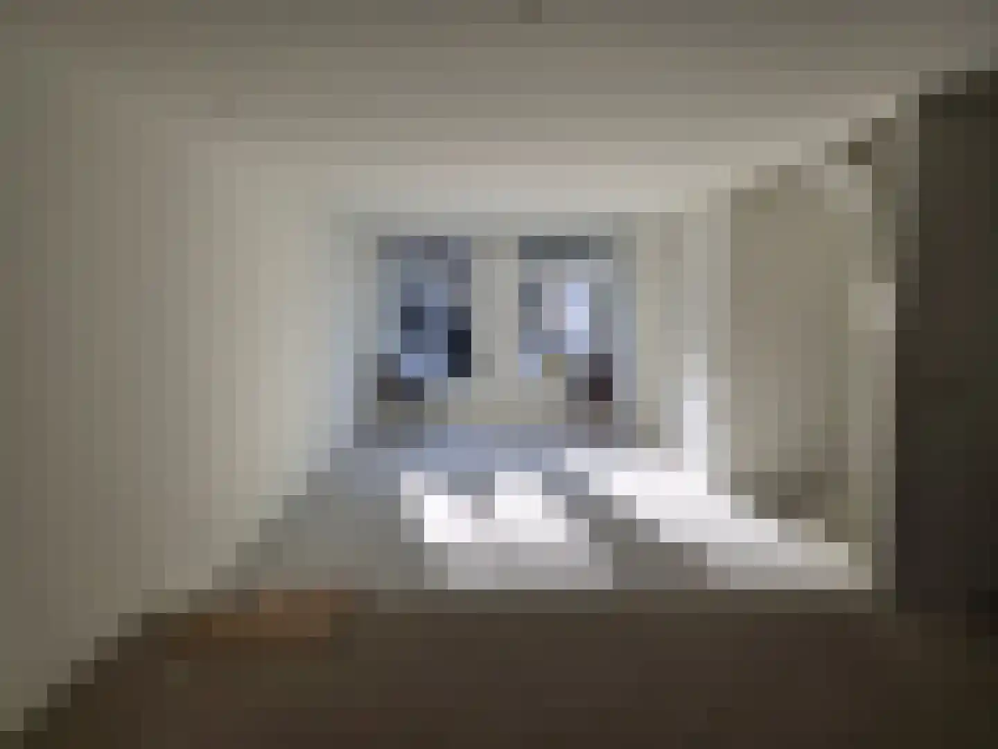 Peperstraat 5 B Oosterend thumbnail 6