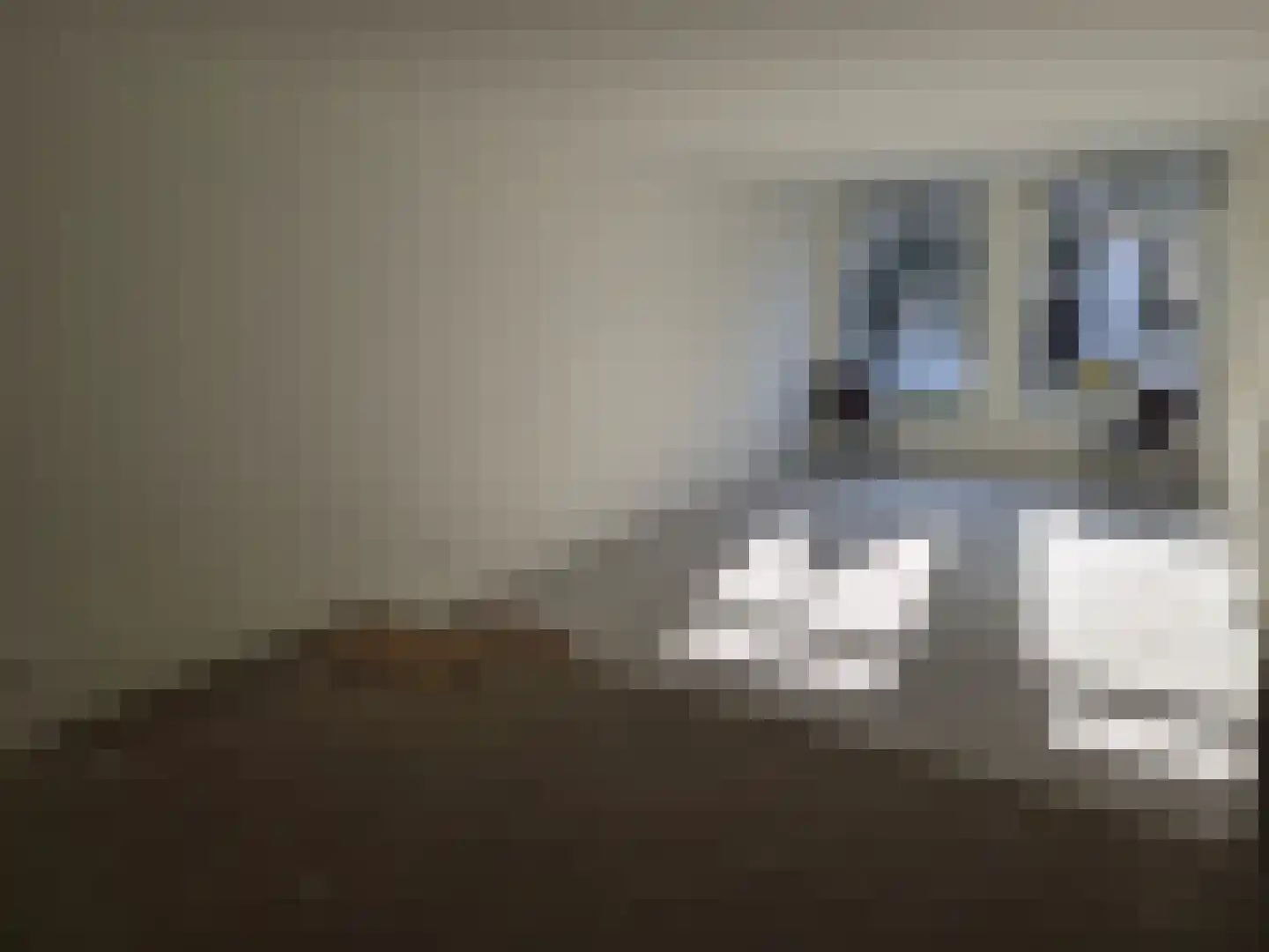 Peperstraat 5 B Oosterend thumbnail 7