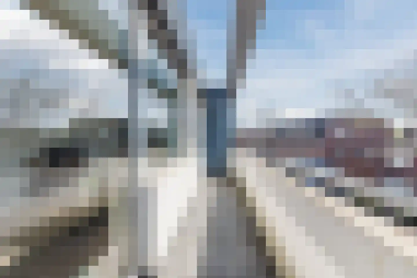Peperstraat 5 B Valkenswaard thumbnail 18