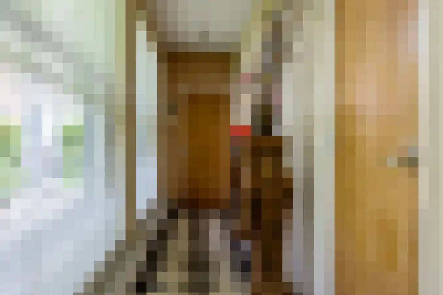 Peperstraat 5 Haastrecht thumbnail 29
