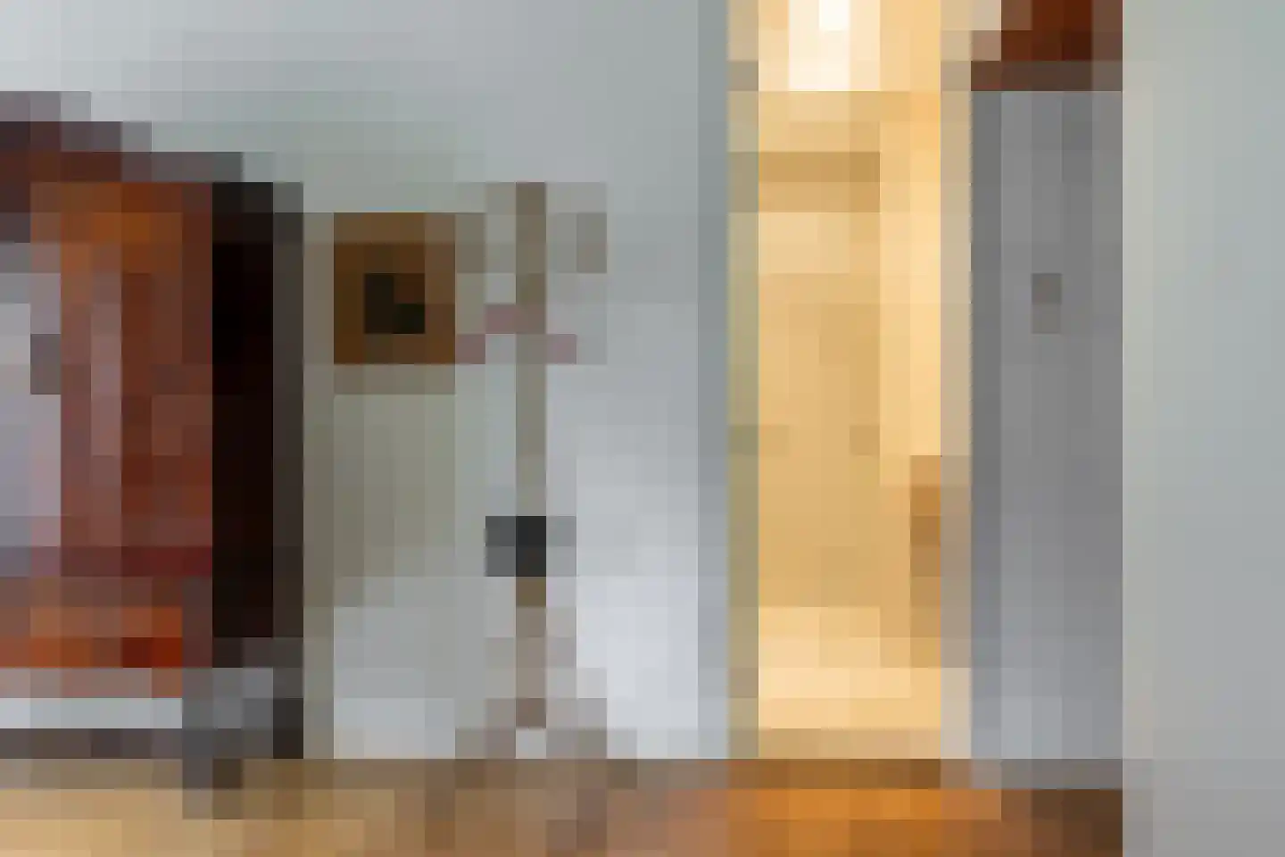 Peperstraat 5 Haastrecht thumbnail 38