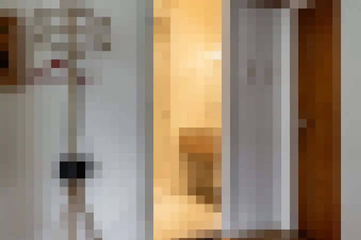 Peperstraat 5 Haastrecht thumbnail 44