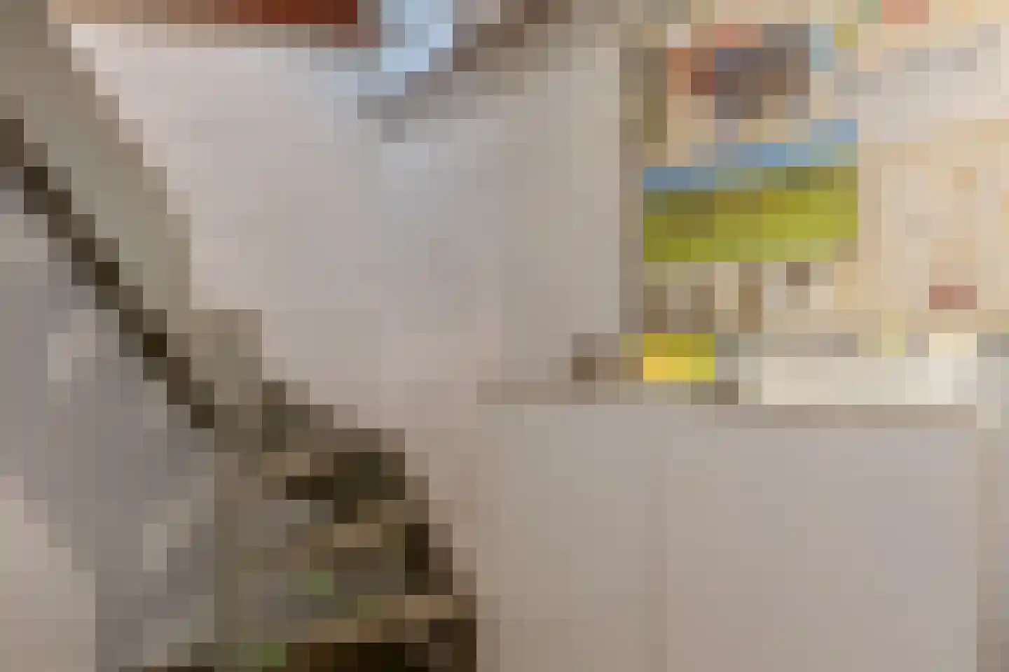 Peperstraat 5 Haastrecht thumbnail 47