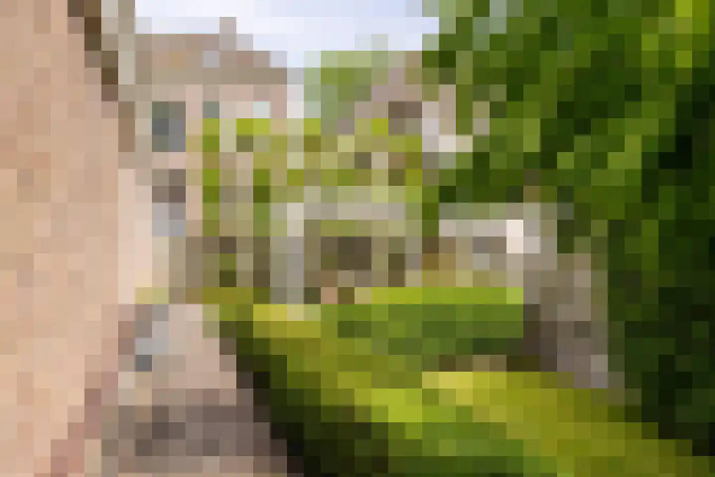 Peperstraat 5 Haastrecht thumbnail 57