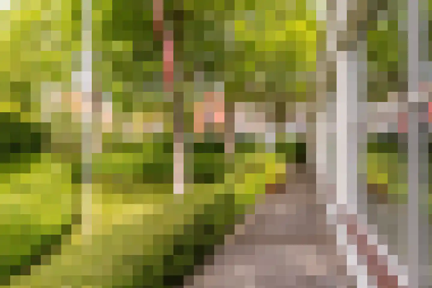 Peperstraat 5 Haastrecht thumbnail 58