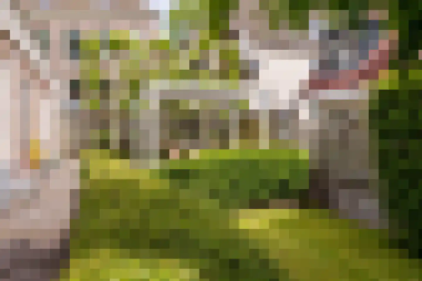 Peperstraat 5 Haastrecht thumbnail 6