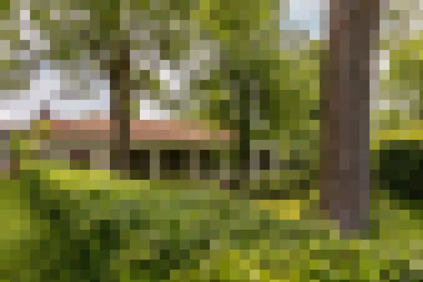 Peperstraat 5 Haastrecht thumbnail 62