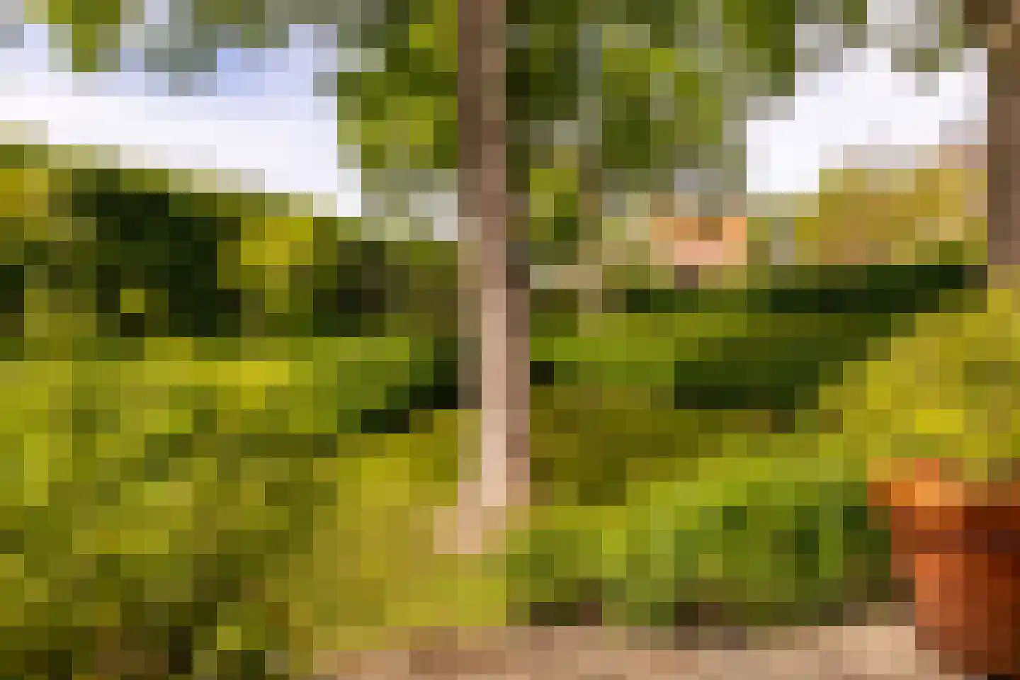 Peperstraat 5 Haastrecht thumbnail 64